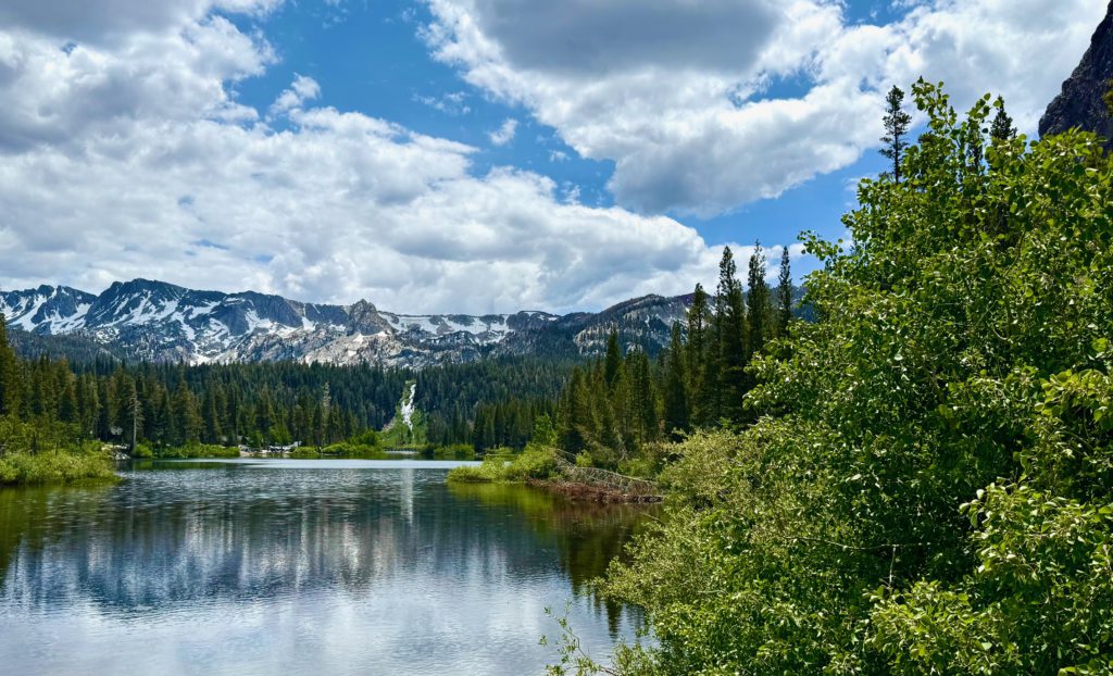 短期連載2】山と湖、巨木の絶景を旅するロードトリップ：マンモス