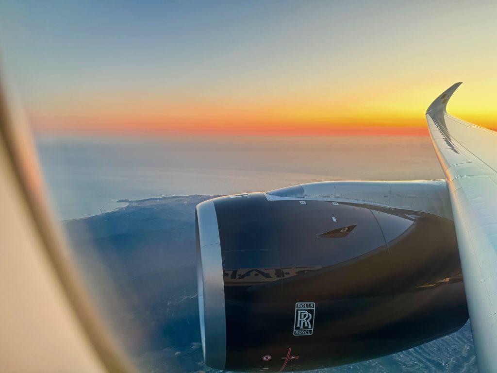 GRACE CLASS ❤上品レオパードジャケット 山羊革 レッキスラビット